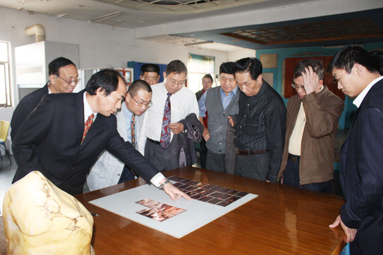 ����Э��ͬ�������ι�ѧϰ